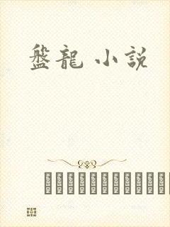 盘龙 小说封面