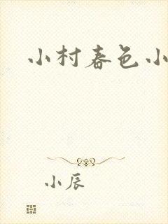 小村春色小说封面