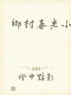 乡村春光小说封面