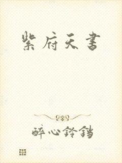 紫府天书