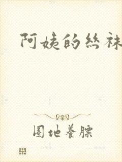 阿姨的丝袜小说