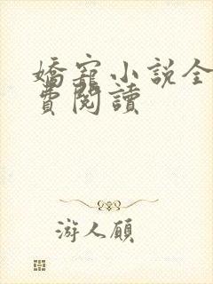 娇宠小说全文免费阅读封面