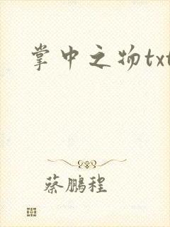 掌中之物txt