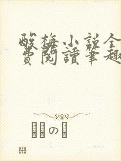 酸梅小说全文免费阅读笔趣阁