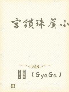 宫锁珠帘小说