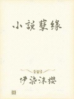 小说孽缘