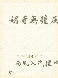 媚者无疆原著