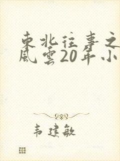 东北往事之黑道风云20年小说