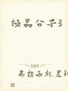 极品公子3