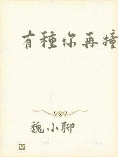 有种你再撞一下