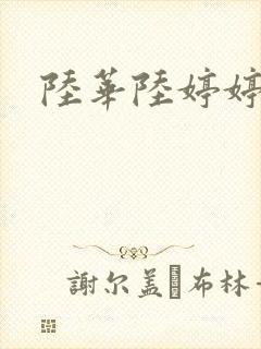 陆华陆婷婷封面