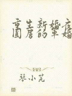重生新婚夜正在圆房的军婚