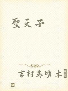 圣天子封面