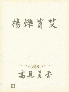 杨烁肖艾