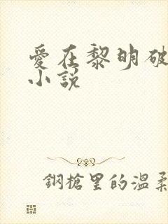 爱在黎明破晓前小说