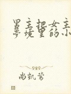 男主把女主拖进梦境里的小说封面