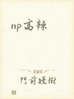 np高辣