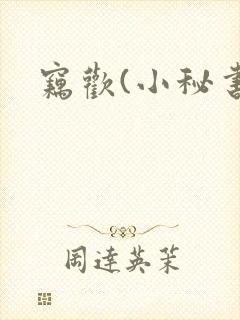 窃欢(小秘书)