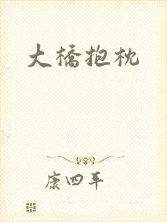 大桥抱枕