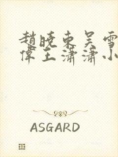 赵晓东吴雪晴郑伟王潇潇小说名字封面