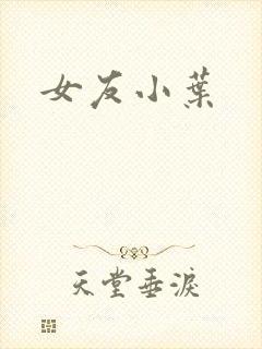 女友小叶