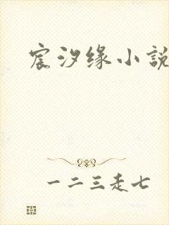 宸汐缘小说