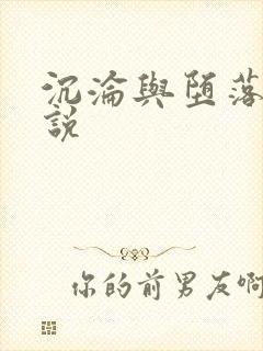 沉沦与堕落的小说