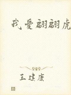 我爱翩翩虎少封面