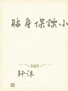 贴身保镖小说