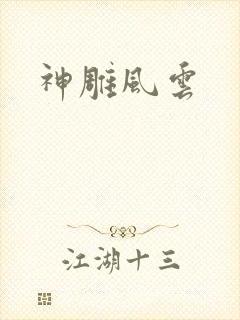 神雕风云封面