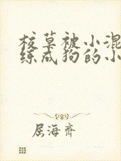 校草被小混混训练成狗的小说