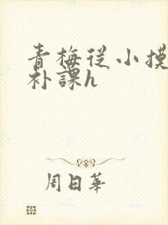 青梅从小摸到大补课h封面