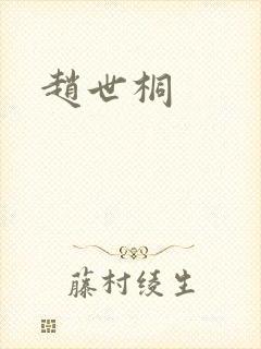 赵世桐封面