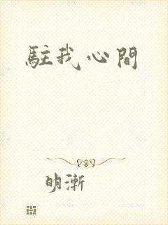 驻我心间封面