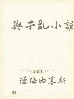 与子乱小说