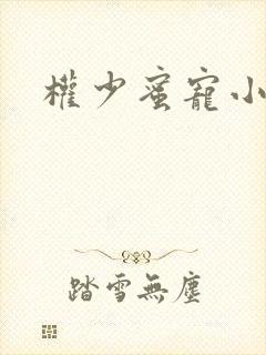 权少蜜宠小娇妻