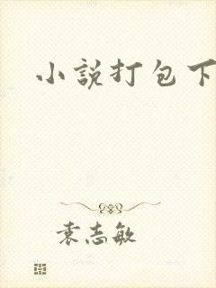 小说打包下载