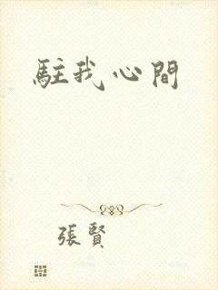 驻我心间封面