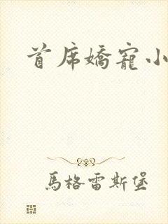 首席娇宠小情人