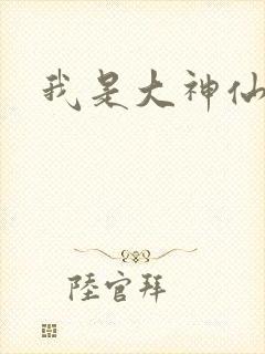 我是大神仙小说封面