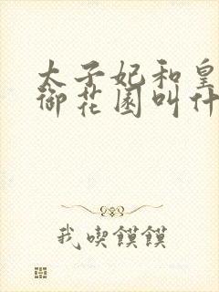 太子妃和皇帝在御花园叫什么小说
