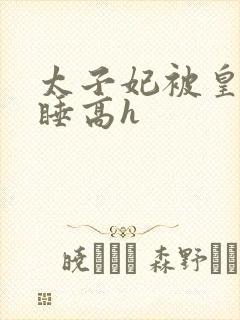 太子妃被皇上强睡高h