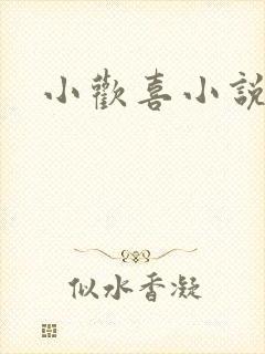 小欢喜小说
