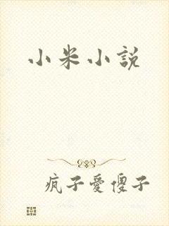 小米小说