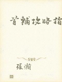 首辅攻略指南