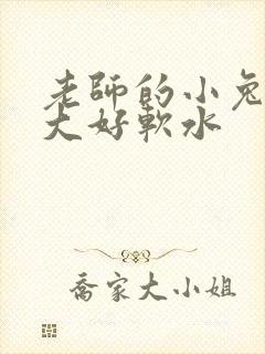 老师的小兔子好大好软水