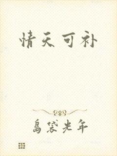 情天可补