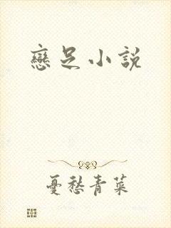 恋足小说