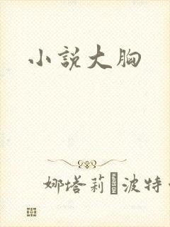 小说大胸