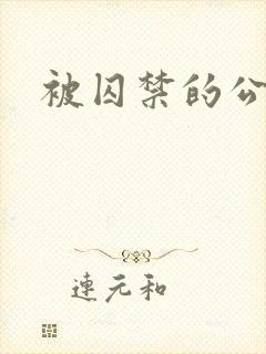 被囚禁的公主封面